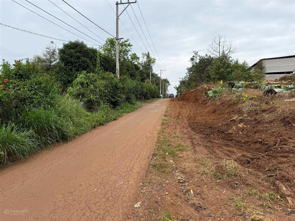1000m2 mặt tiền nhựa ngang hơn 20m chỉ 1ty4