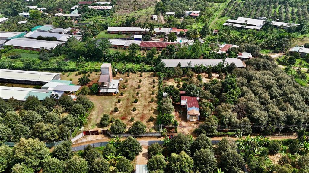 Nhà vườn 2273m2 (300m2 thổ cư) ngang 28m nở hậu 40m  nhà + vườn cây ăn trái