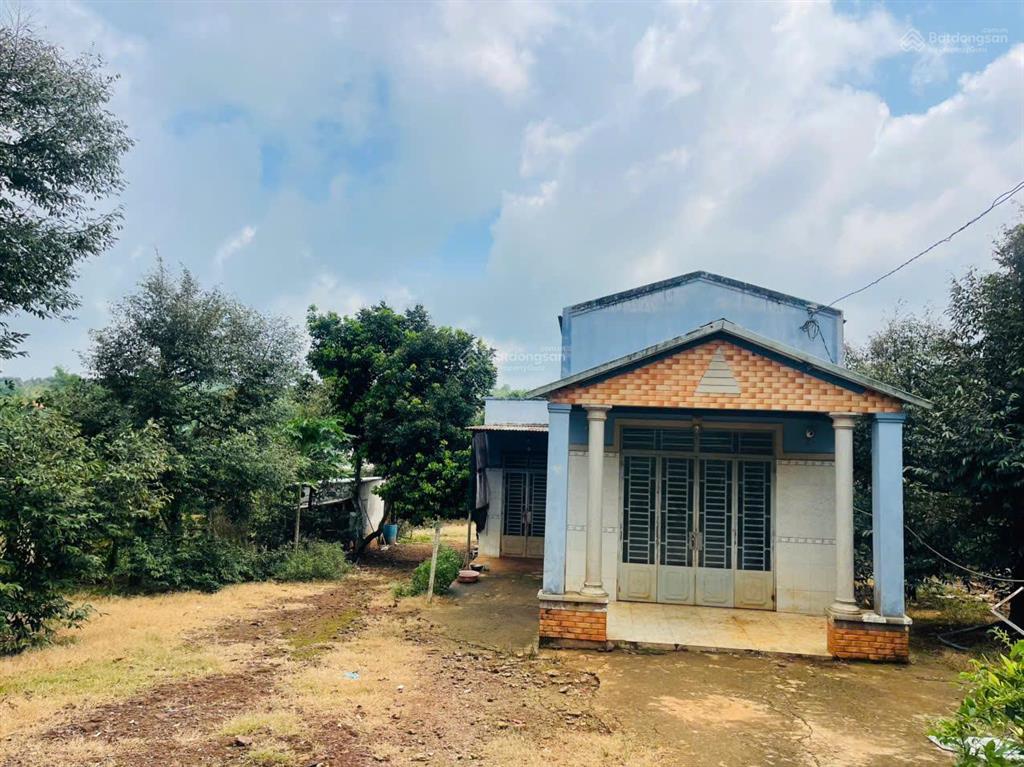 Nhà vườn 2273m2 (300m2 thổ cư) ngang 28m nở hậu 40m  nhà + vườn cây ăn trái