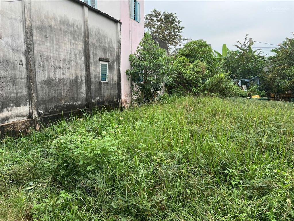 Chủ cần bán lô đất vườn đường oto phường long phước 369m2 giá 13 tr/m2