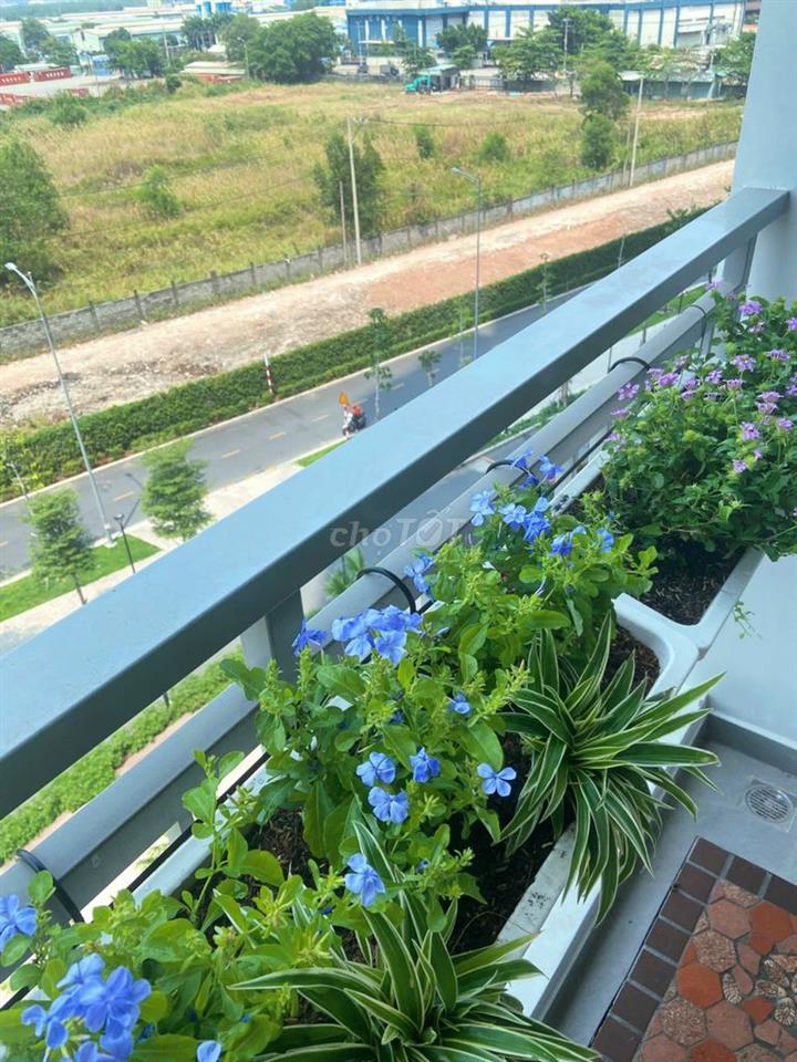 CHUYÊN Q7 RIVERSIDE 2PN FULL NỘI THẤT CAO CẤP, LH GỬI CĂN ***