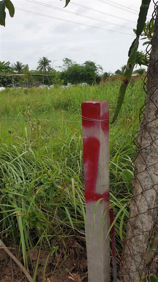 Bán đất vườn, kênh 7, vườn thơm để làm nhà vườn, nhà xưởng, cách q. bình tân 15 phút đi xe