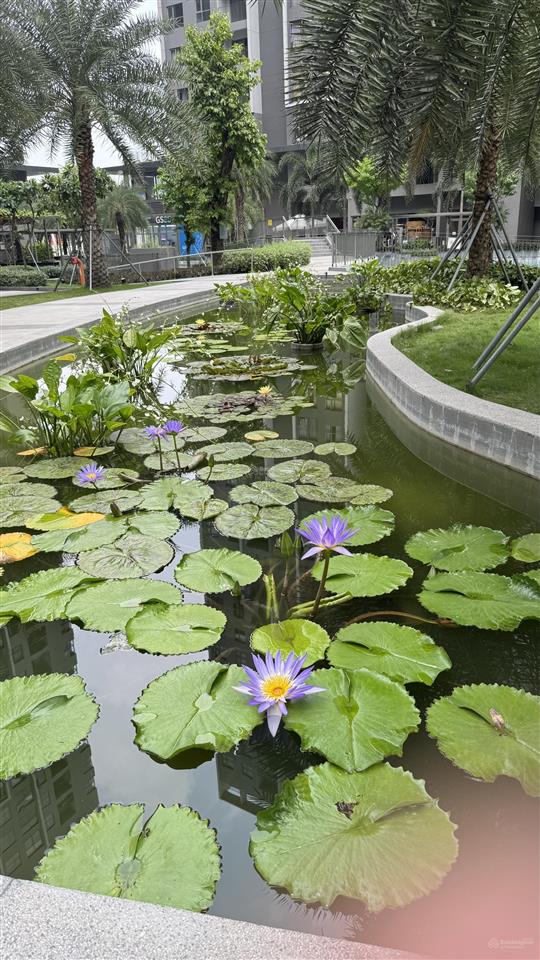 Bán nhanh 59m² west gate  chỉ 2.69 tỷ