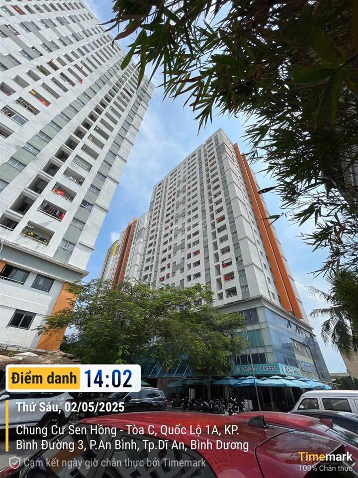 Chuyên chuyển nhượng căn hộ lotus  sen hồng, kcn sóng thần giáp thủ đức