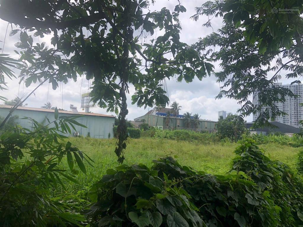 Cho thuê đất trống (như hình) dt 2700m2 giá 30triệu/tháng đường ql13 vào 200m gần cty tân hiệp phát
