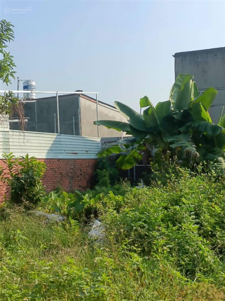 Chính chủ bán đất thạnh xuân 25, phường thạnh xuân, q12 dt 66,8m2 (5x13,5), shr
