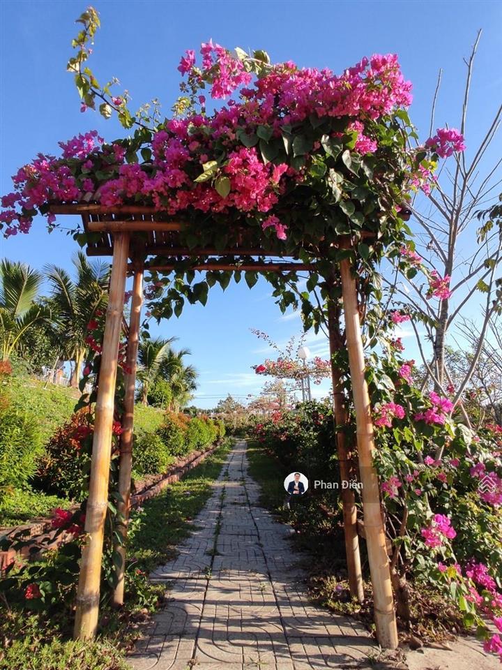 Chính chủ bán khu nghỉ dưỡng gần khu du lịch bình châu. có nhà với bungalo, hồ cái koi, cây ăn trái