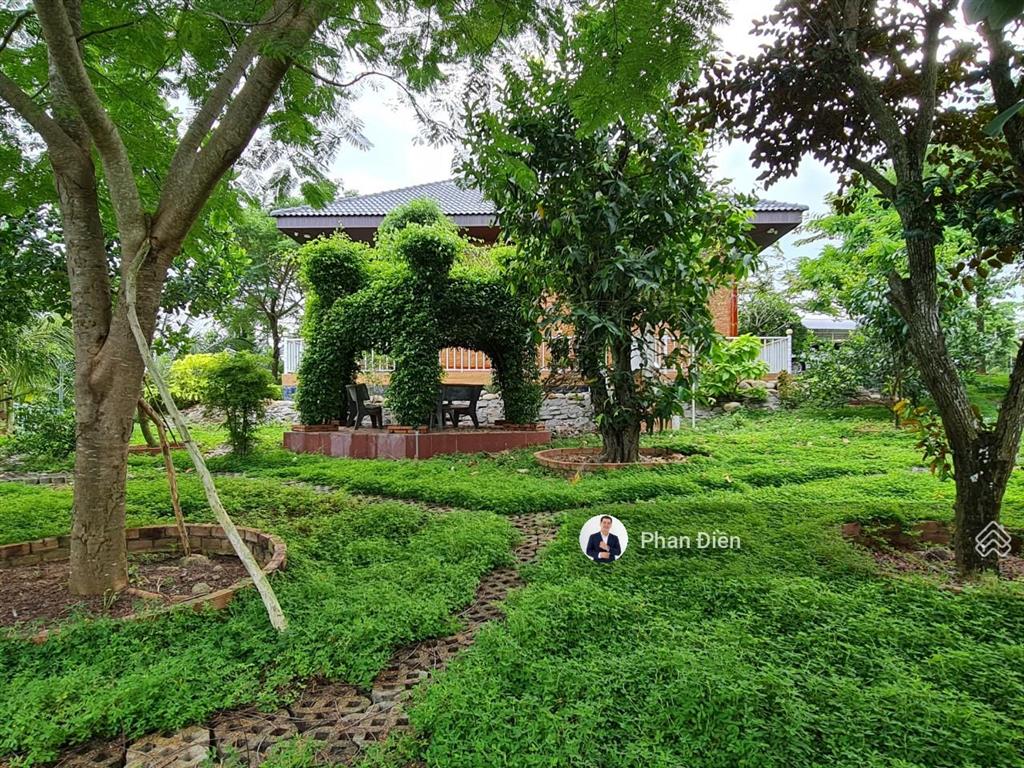 Chính chủ bán khu nghỉ dưỡng gần khu du lịch bình châu. có nhà với bungalo, hồ cái koi, cây ăn trái