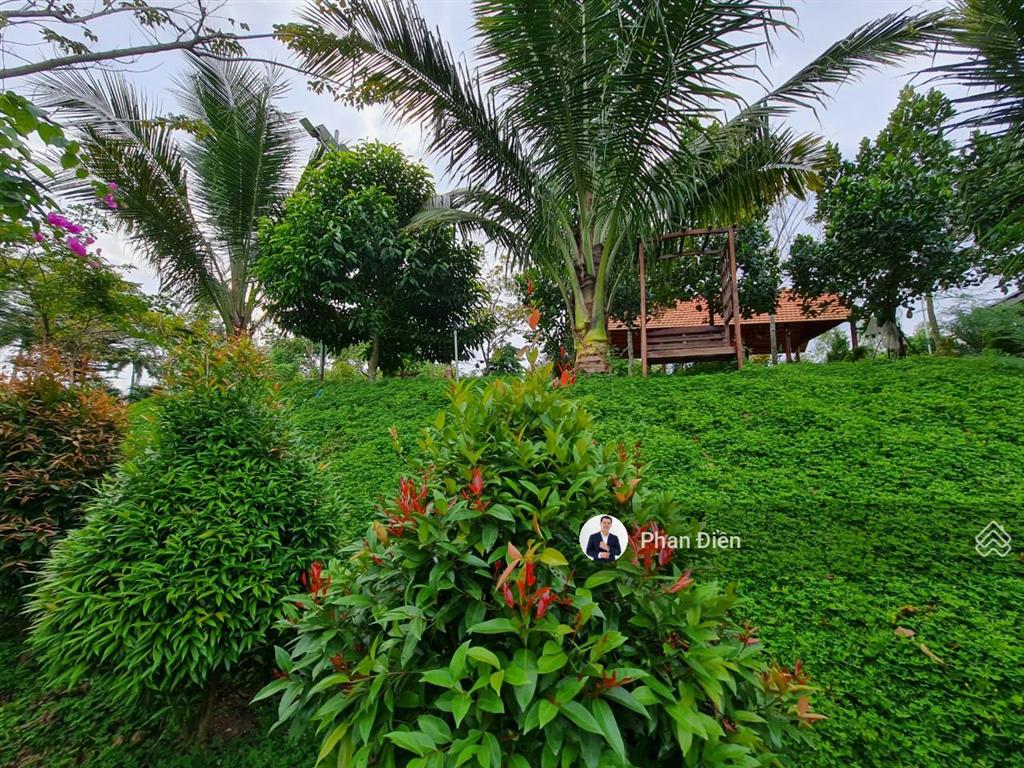 Chính chủ bán khu nghỉ dưỡng gần khu du lịch bình châu. có nhà với bungalo, hồ cái koi, cây ăn trái
