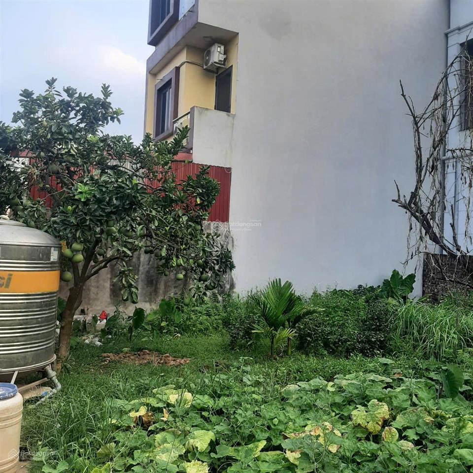 Bán 62m2 đất thổ cư tại xóm 7 tráng việt, sổ đỏ chính chủ sang tên nhanh gọn