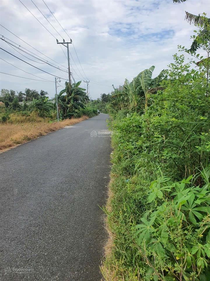 Chính chủ bán cặp nền siêu đẹp mặt tiền ô tô 6m trên trục đường đẹp nguyễn viết xuân