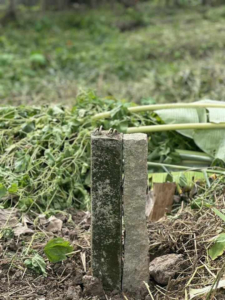 Bán lô đất lớn mặt tiền đường tỉnh 917 (nguyễn chí thanh mới) giai đoạn 2
