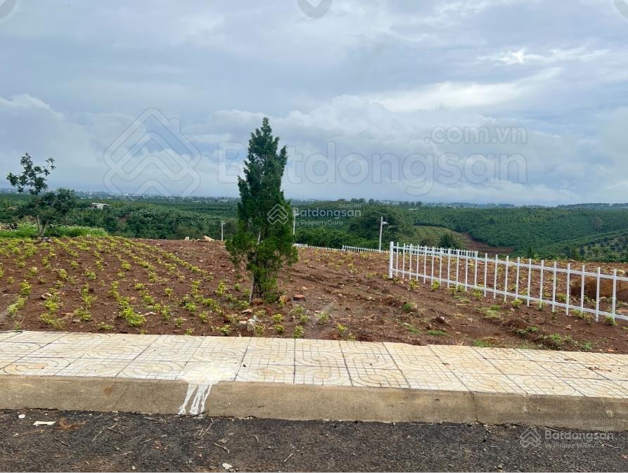 Tôi chính chủ cắt lỗ 50%, 179m2 (430 triệu) không đăng ảo mất thời gian khách hàng