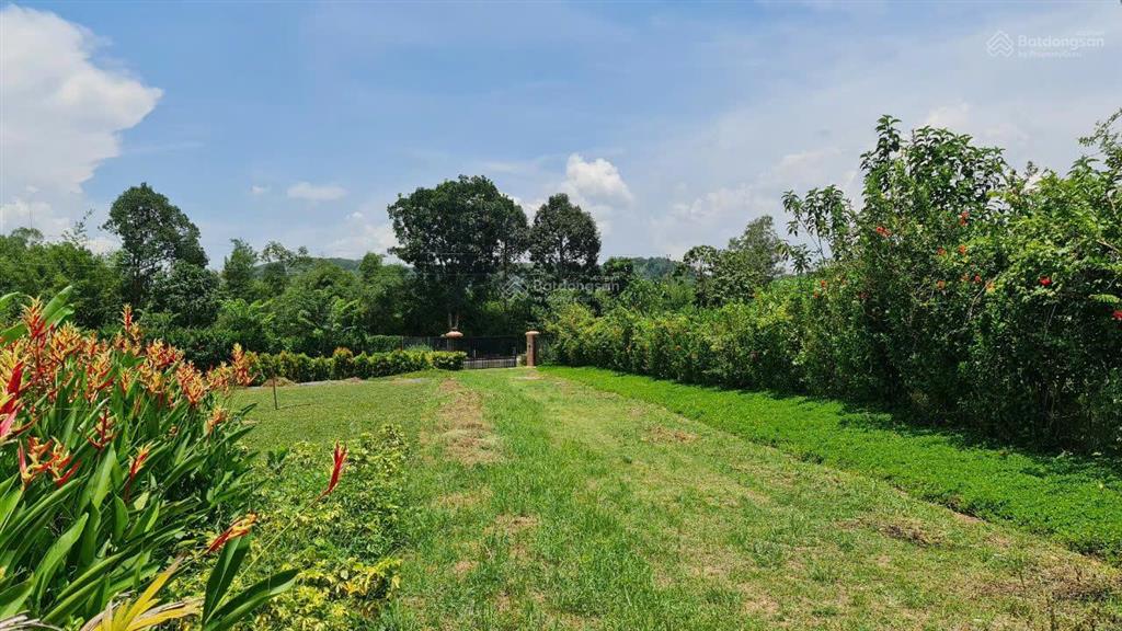 Chính chủ bán lô đất gần hồ trị an 1181m2 rẻ hơn xung quanh hàng xóm đã xây nhiều biệt thự,homestay
