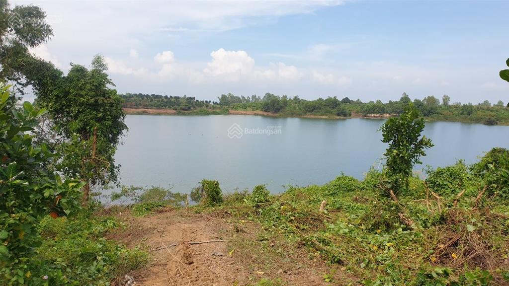Chính chủ bán lô đất gần hồ trị an 1181m2 rẻ hơn xung quanh hàng xóm đã xây nhiều biệt thự,homestay