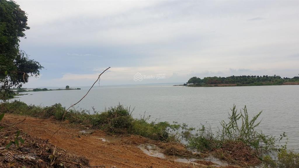 Chính chủ bán lô đất gần hồ trị an 1181m2 rẻ hơn xung quanh hàng xóm đã xây nhiều biệt thự,homestay