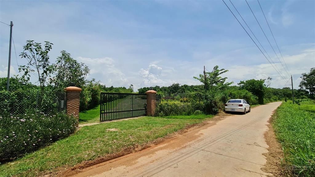 Chính chủ bán lô đất gần hồ trị an 1181m2 rẻ hơn xung quanh hàng xóm đã xây nhiều biệt thự,homestay