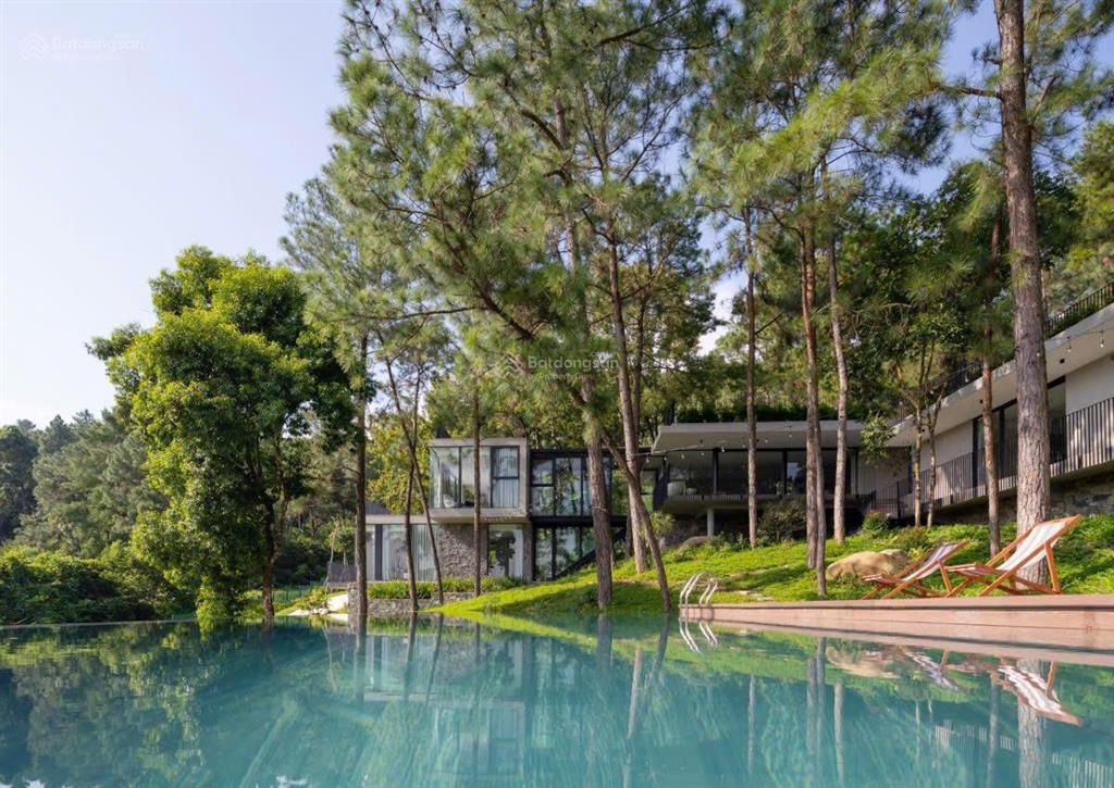 Giảm 1 tỷ bán gấp lô đất 1136m2 bt trong sân golf tam đảo  sổ lâu dài 100% thổ cư  giá rẻ 12tr/m2