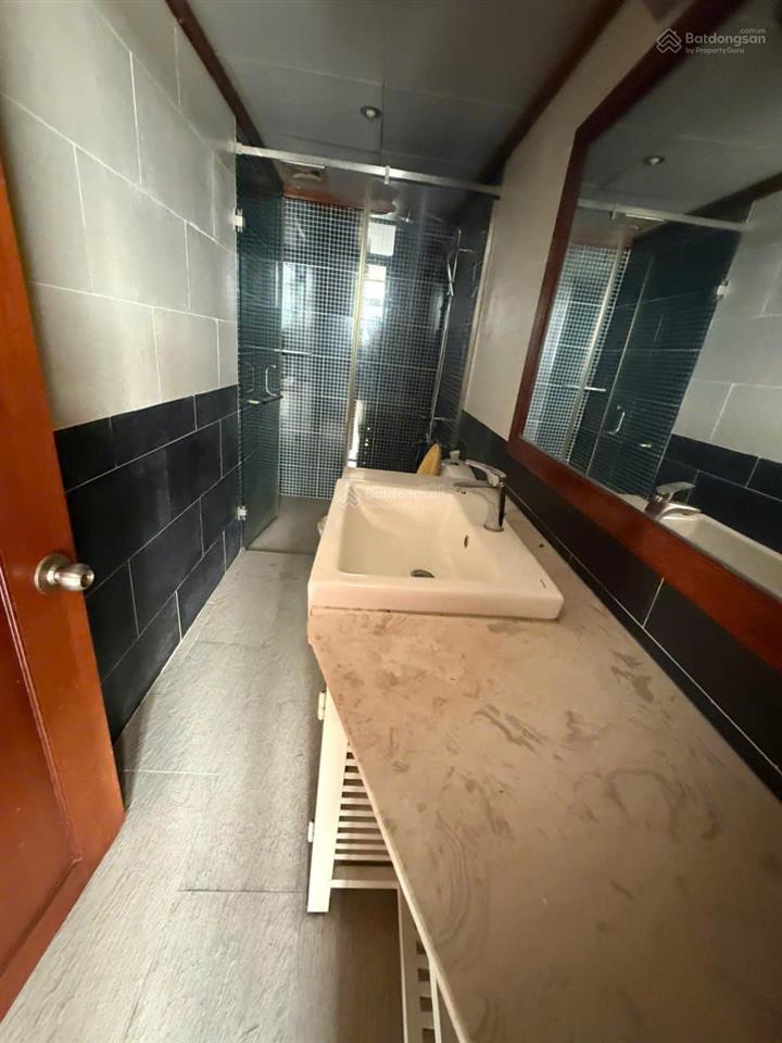 Bán căn hộ penthouse hoàng anh gold house an tiến sd trên 400m2