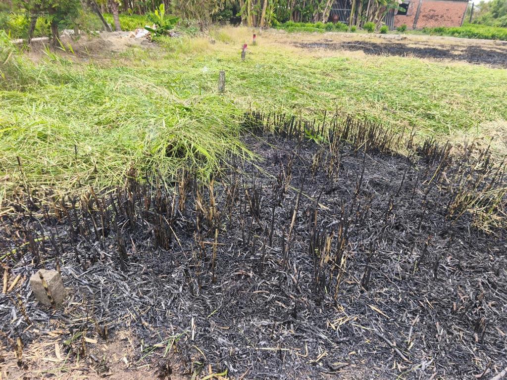 Đất thổ giá tiếp cận dễ, sổ riêng, gần chợ long thượng