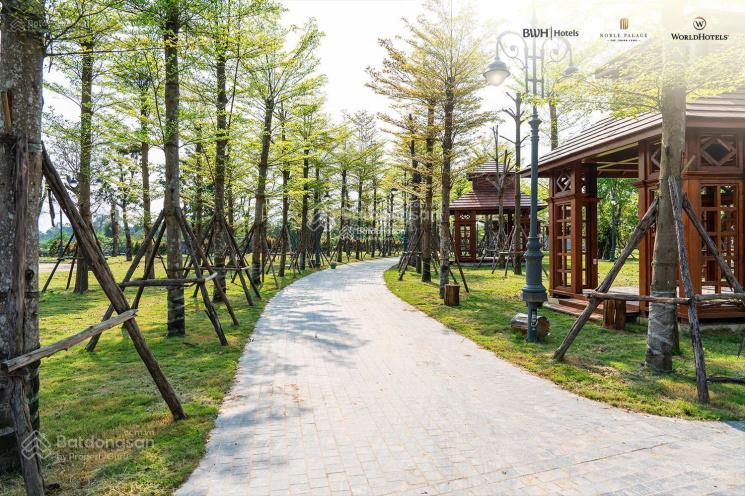 Bán suất ngoại giao căn 50m² noble tây thăng long đan phượng hà nội