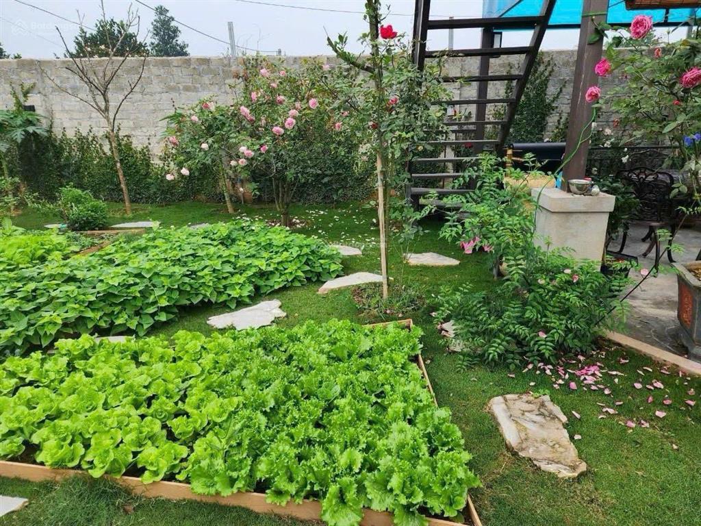 Hiếm có khó tìm, đất nhà vườn chùa thầy, mt 16.6m, gần đh thăng long, giá đầu tư, mặt tiền rộng