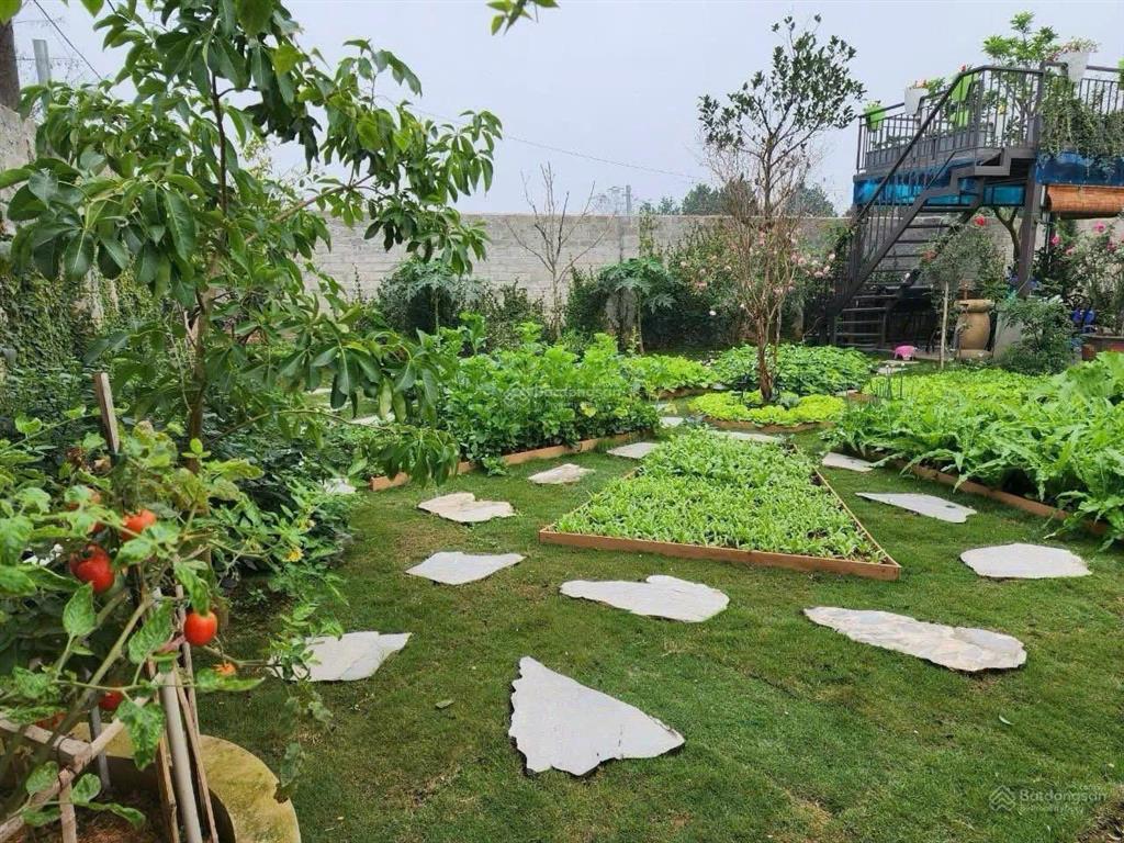 Hiếm có khó tìm, đất nhà vườn chùa thầy, mt 16.6m, gần đh thăng long, giá đầu tư, mặt tiền rộng