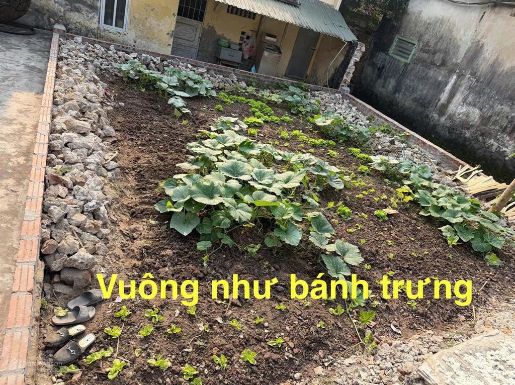 Đất full thổ cư sài khê  chùa thầy, 54m² & 80,4m², chỉ hơn 3 tỷ, không vướng quy hoạch giải tỏa