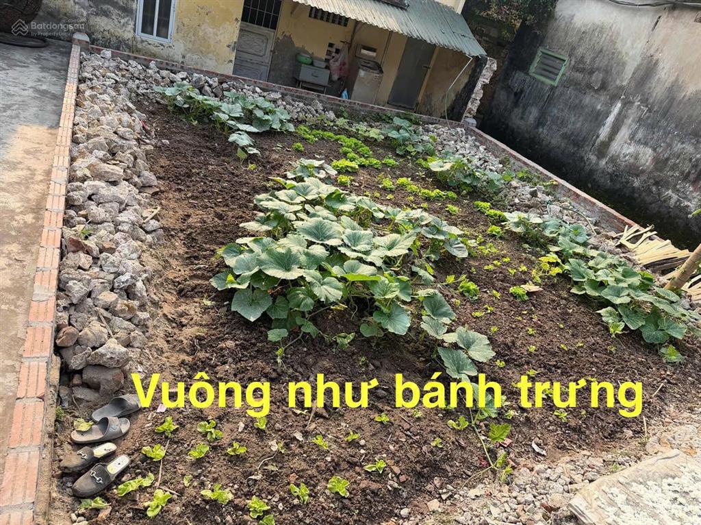 Lô góc 3 mặt thoáng 54,6m² sát trung tâm chùa thầy, cách 10m sân cộng đồng, tiềm năng tăng giá mạnh