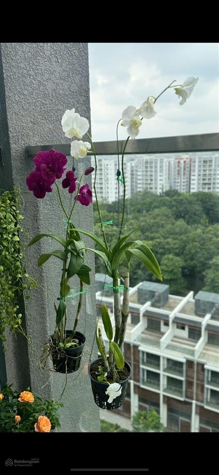 Cần tiền bán nhanh căn brilliant 3pn + góc 141m² giá tốt. view thoáng mát, nhà sạch đẹp