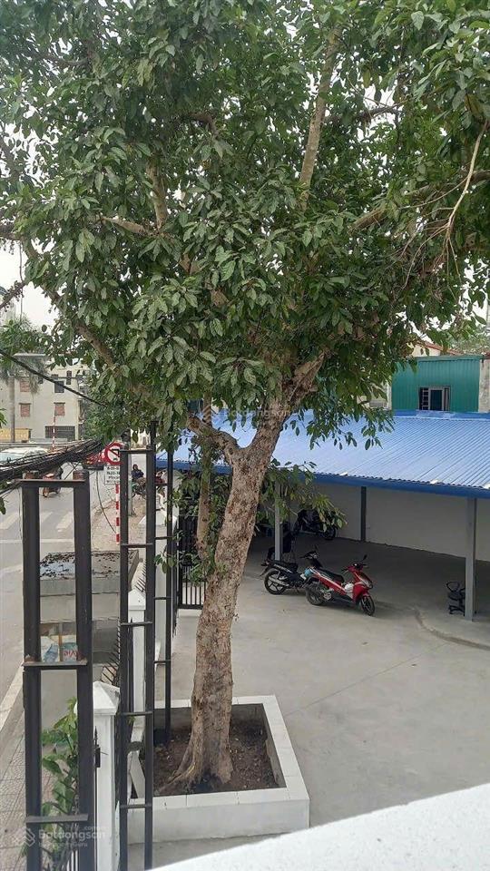 Bồ đề  cho thuê mbvp, cty, showroom  550m2