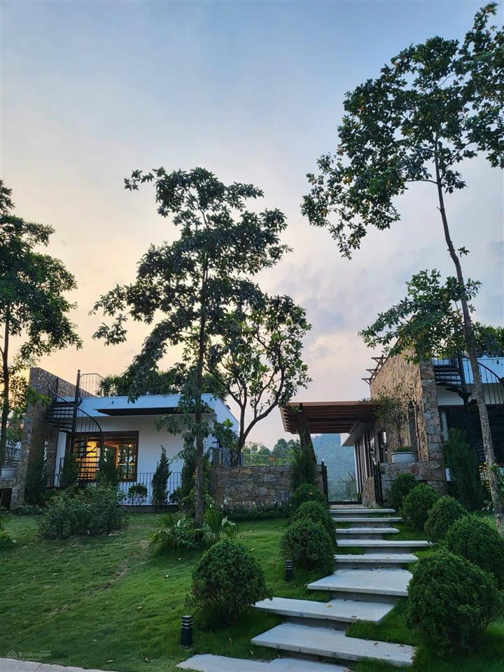 Villa 250m2 venus flamingo  cầu thang xoắn ốc độc lạ, sân vườn mái kính view hồ thanh cao, tam đảo