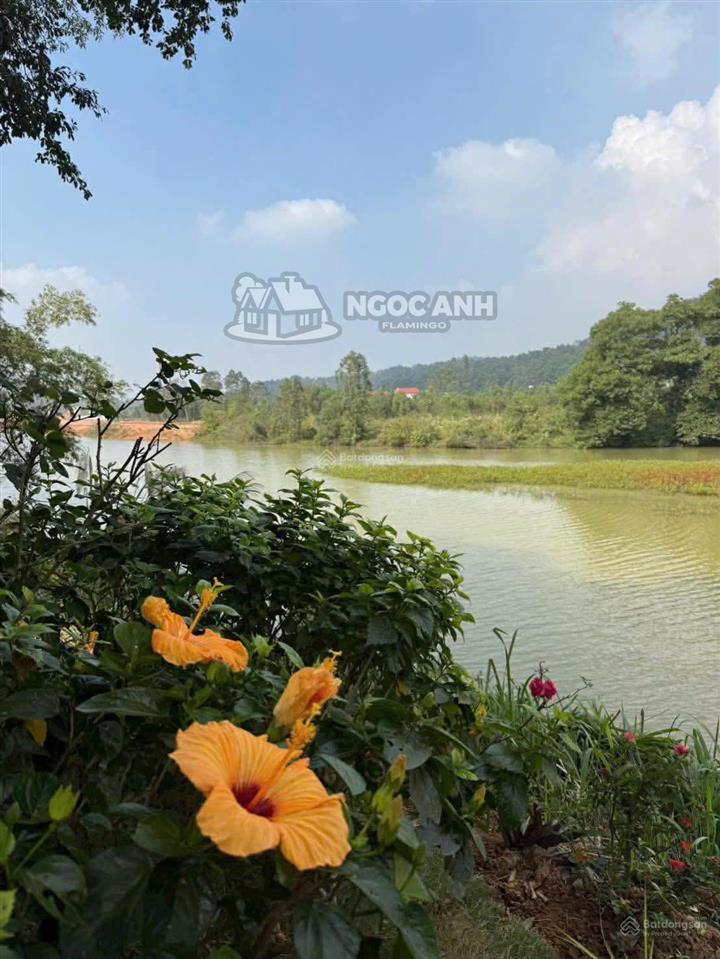 Bán villa 250m2 view hồ & núi phong cách ả rập đẹp tại venusresort đại lải hồ bơi riêng giá 14,5 tỷ