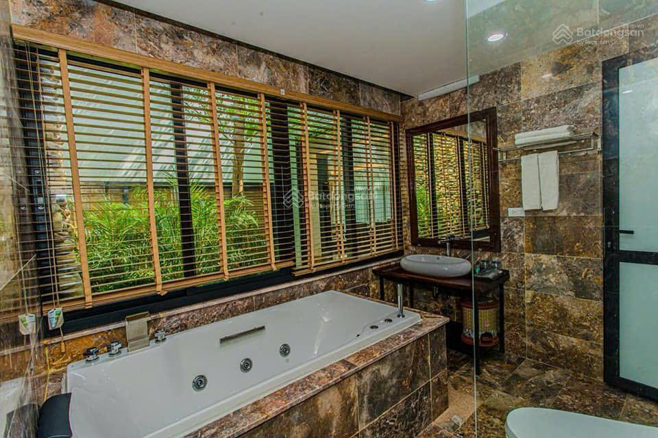 Bán nhanh villa flamingo view hồ đại lải diện tích 323m2, 3 pn, sân vườn rộng, bể bơi riêng 10 tỷ