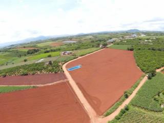 Cần bán lô đất siêu đẹp 3 mặt tiền tại Tân Hội, Đức Trọng, Lâm Đồng, 260m mặt tiền