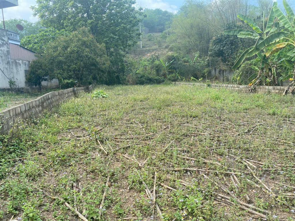 CHÍNH CHỦ - Cần tiền Em cần bánh mảnh đất, thuộc Xóm Đúng Thá, Cao Phong , Hoà Bình (Gần