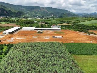 Em Sẵn 3 Lô Đât Đẹp Full ONT  - Tại: Dũng Phong - Cao Phong - Mặt Tiền: 8m