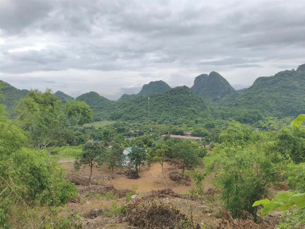 BÁN ĐẤT KHU DU LỊCH QUÈN THỜ – TAM ĐIỆP, NINH BÌNH