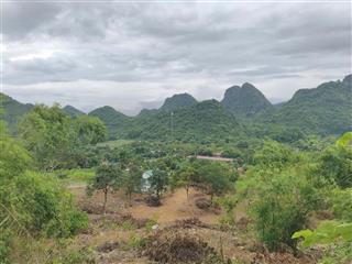 BÁN ĐẤT KHU DU LỊCH QUÈN THỜ – TAM ĐIỆP, NINH BÌNH
