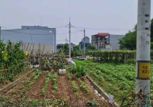 LÔ ĐẤT HIẾM LẠI YÊN, HOÀI ĐỨC – GẦN HỒ, ĐƯỜNG Ô TÔ, PHÙ HỢP Ở VÀ ĐẦU TƯ
