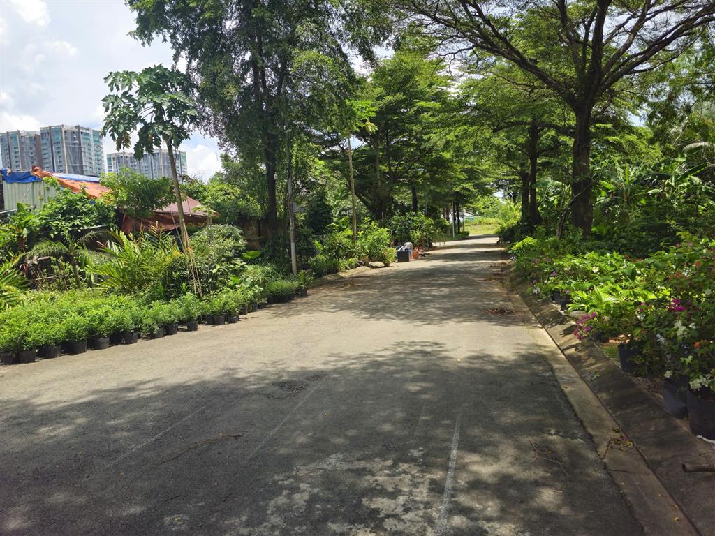 BÁN ĐẤT NỀN KDC HOÀNG ANH MINH TUẤN – ĐƯỜNG D3