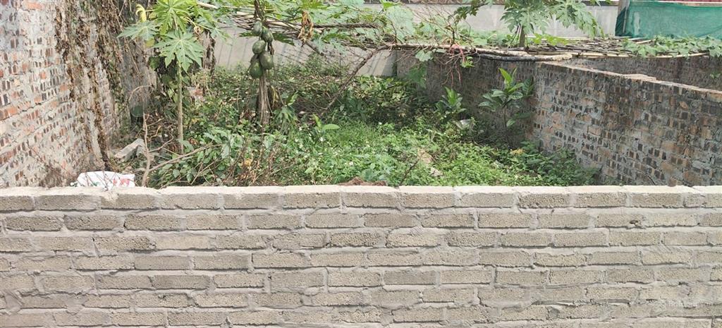 61 m2 trục chính. kd oto tránh zá 70 tr/m tại đường yên, thư lâm