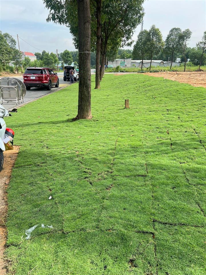 Bán đất tại vành đai 4, mặt tiền 72m, giá 2,85 tỷ, 150m2, công chứng ngay