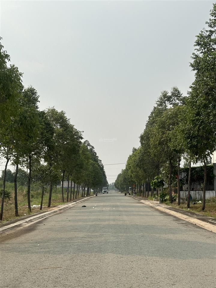 Bán đất khu mỹ phước 4 cạnh đại học việt đức đường nhựa thông dự án chợ