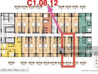 Studio sun costa vương thừa vũ tầng 08 giá vay châu mỹ
