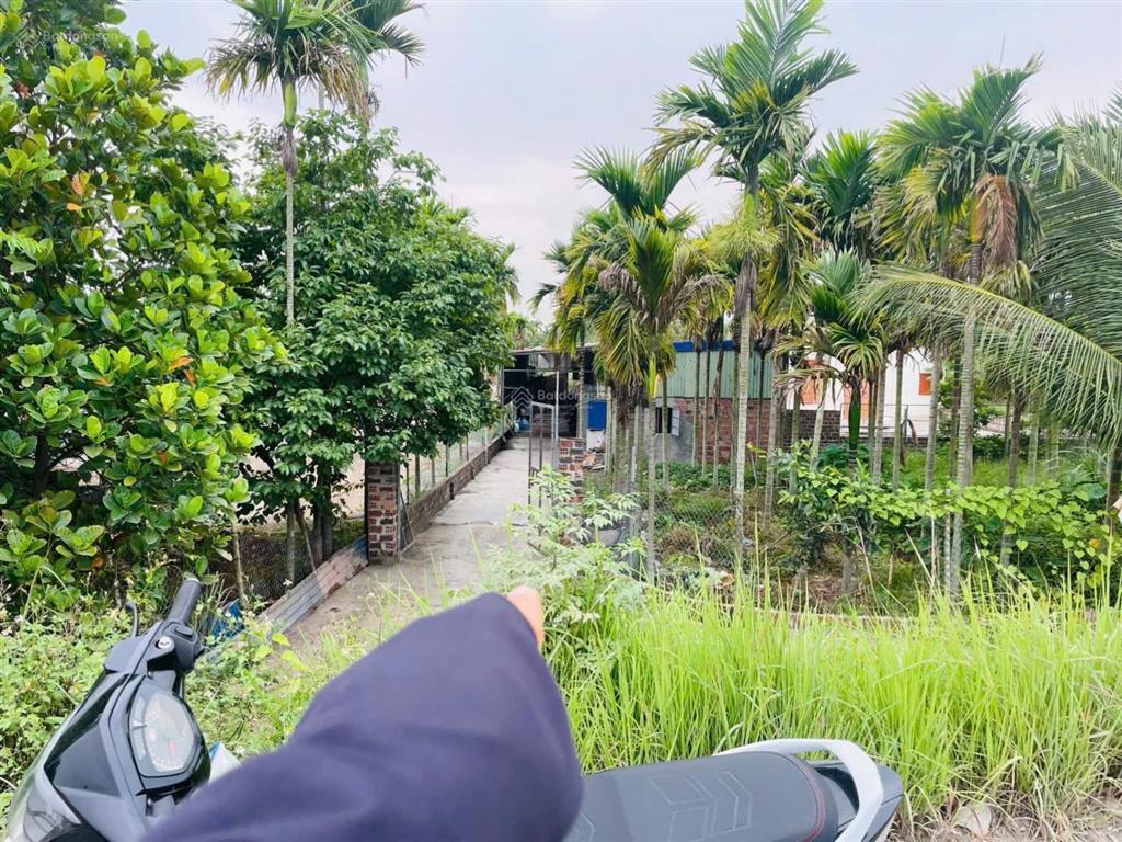 Cơ hội đầu tư dòng tiền, 300m² đất + sẵn 7 phòng trọ tại thủy triều, thủy nguyên