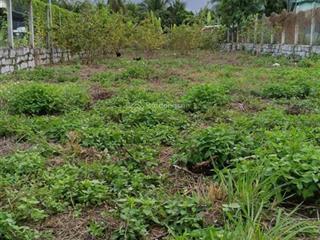 Mình chính chủ cần bán lô đất tạitân khánh ,suối hiệp