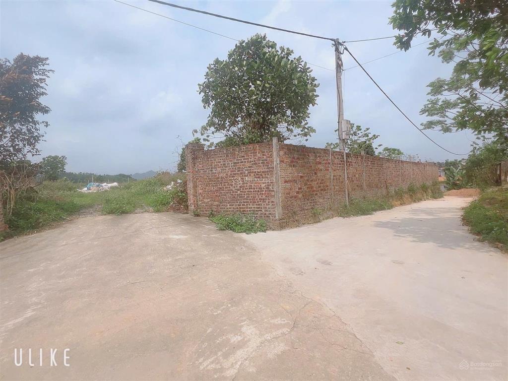Siêu phẩm 4.772m lô góc 3 mặt tiền giá đầu tư địa chỉ đô lương, trung giã, sóc sơn, hà nội