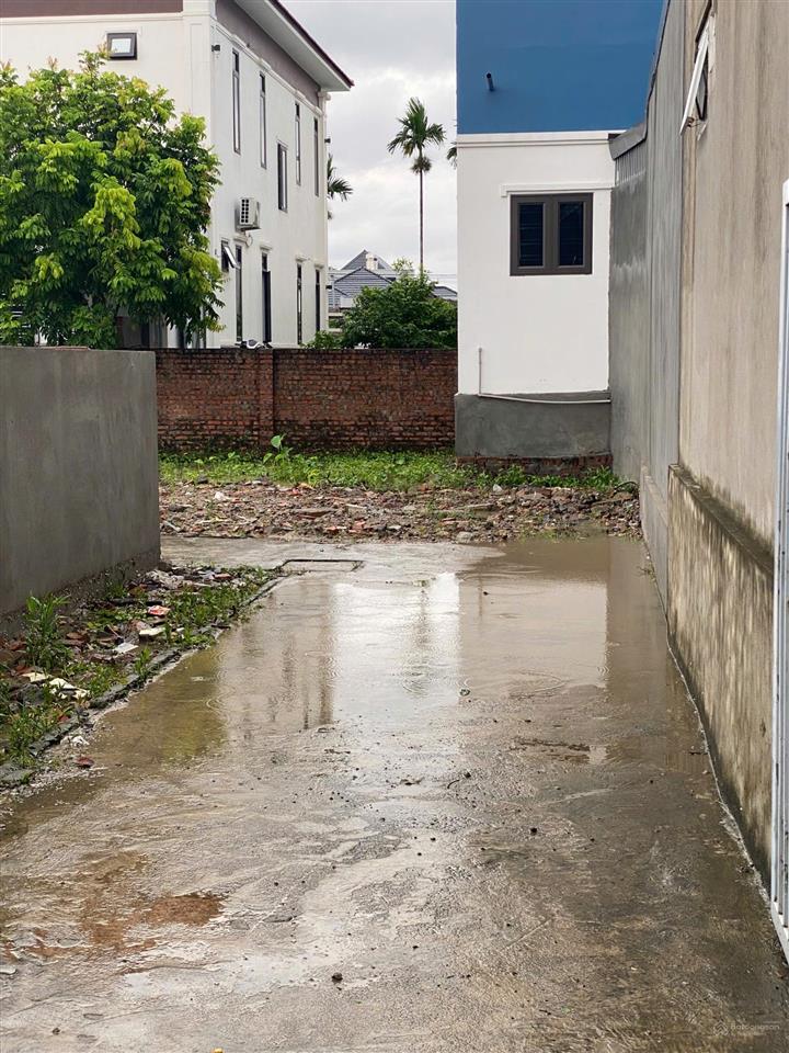 Cần bán lô đất tại đại đồng kiến minh hải phòng
ngõ từ 4m 6m trải nhựa 0833 916 ***