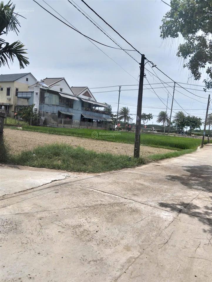 Giá hời  lô đất vip view lúa trước sau đường ô tô đậu đỗ cách tt phố cổ chỉ 1,6km